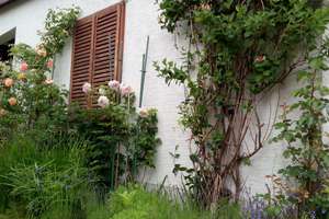 1-3 Fam. Haus ca 360 qm in WILLEBADESSEN zwischen HÖXTER+PADERBORN+NEBENGEBÄUDE +1000 qm GRUNDSTÜCK – Die vollständige Adresse der Immobilie erhältst du vom Anbieter., 34439 Willebadessen – Vorschaubild 18