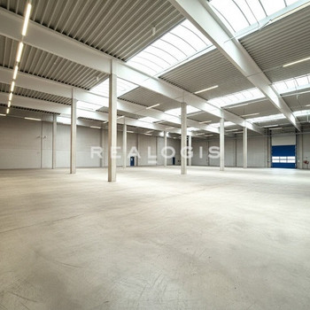 Bestandsfläche oder Neubau-Logistikfläche mit Rampentoren zu vermieten