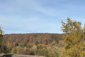 Property thumbnail 18