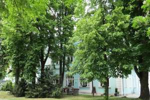 City-Apartment mit langfristigem Pachtvertrag im "Kneitinger" – Die vollständige Adresse der Immobilie erhältst du vom Anbieter., 93055 Ostenviertel, Regensburg – Vorschaubild 6