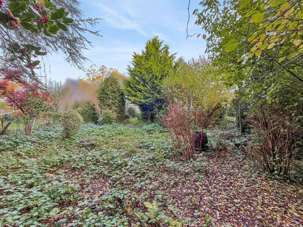 Immobilie in Molfsee - Revitalisierungsprojekt in ruhiger, beliebter Wohnlage von Kiel-Hassee - Bild 2