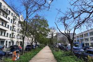 Bezugsfrei! Sehr helle, ruhige 2-Zi-Wohnung direkt an der Bänschpromenade – Bänschstraße 75, 10247 Berlin – Vorschaubild 3