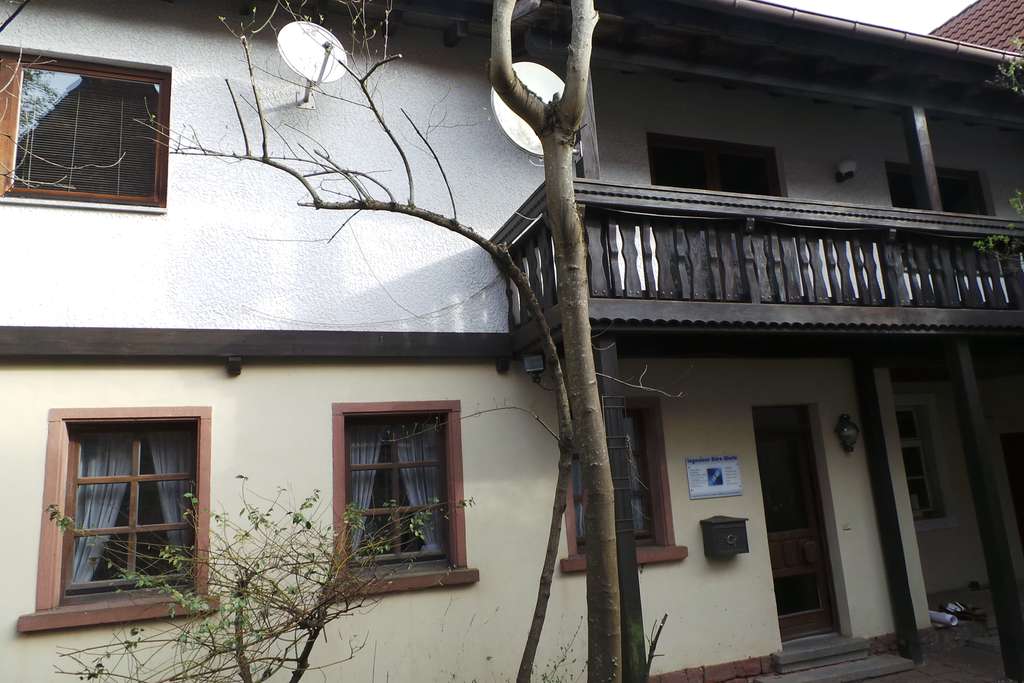 Immobilie in Stelzenberg - Handwerker aufgepasst - Charmantes Anwesen mit viel Potenzial im Herzen von Stelzenberg - Bild 2