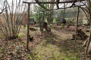 Einfamilienhaus mit ELW 255qm mit 3966qm Garten, EKl A+, Bj 2013 – Die vollständige Adresse der Immobilie erhältst du vom Anbieter., 72178 Waldachtal – Vorschaubild 67