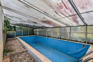 Modernes Wohnen mit Kamin, Pool und liebevoll angelegtem Garten – Sommerflor 2, 55129 Ebersheim, Mainz – Vorschaubild 18