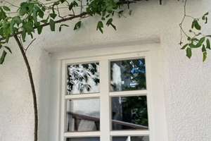 Tatsächlich gepflegtes tw. vermietetes Mehrfamilienhaus zu verkaufen ! – Die vollständige Adresse der Immobilie erhältst du vom Anbieter., 60124 Kirchheim, Heidelberg – Vorschaubild 18