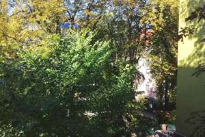 Luxuriöse 5,5-Zimmer-Altbauwohnung – Leistikowstraße 3, 14050 Westend, Berlin – Vorschaubild 8