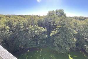 Frisch renovierte 2 Zimmer-Wohnung mit modernisiertem Wannenbad und 2 Balkonen – 22417 Langenhorn, Hamburg – Vorschaubild 10