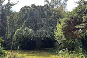 Property thumbnail 26