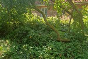 Bauernhaus mit bezauberndem Garten – Quelkhorner Landstraße 3, 28870 Ottersberg – Vorschaubild 24