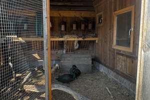 ++ ÖKO-BAUERNHOF im DRÖMLING ++ – Kämeritz 4, 39649 Jeseritz – Vorschaubild 30