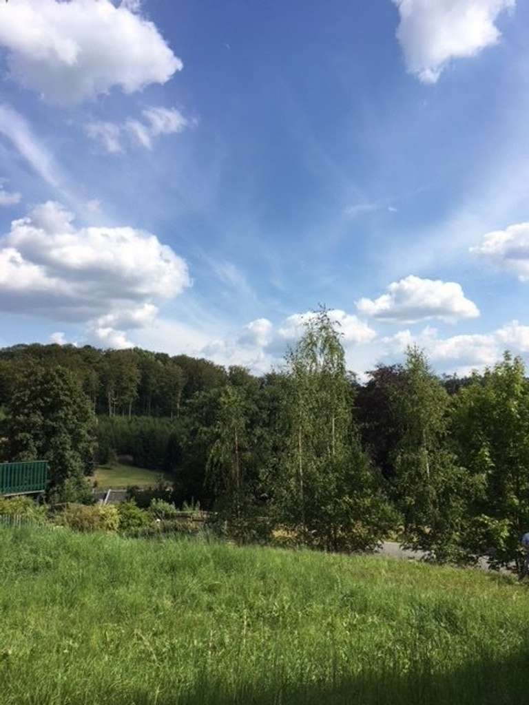 Immobilie in Lunzenau - IHR BEHÜTETES FAMILIENLEBEN IM EIGENEN HAUS DANK SORGLOS-SICHERHEITSPAKET - TEL.: 01714863595    - Bild 3