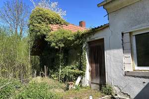 98.000€ - Keine Provision - Einfamilienhaus mit Anbau und 2833m2 großem Grundstück im Grünen gelegen – Neue Mühler Weg 4, 32361 Preußisch Oldendorf – Vorschaubild 25