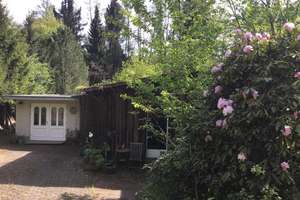 Kernsaniertes Haus mit großen Grundstück am Bach – In den Bruchwiesen 7, 35321 Laubach – Vorschaubild 4