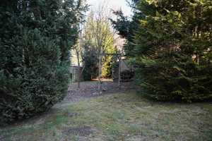 Projekt gesucht, Haus mit großem Garten gefunden ! ;-) – Rhein-Hunsrück-Kreis – Vorschaubild 11