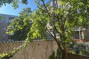 Wunderschöne Wohnung mit Balkon – Cannabichstraße 24, 68167 Neckarstadt-Ost/Wohlgelegen, Mannheim – Vorschaubild 13