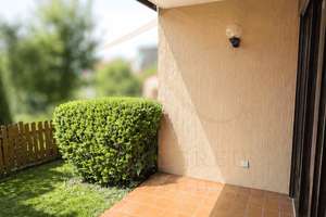 2-Zimmer-Wohnung in begehrter Höhenlage von Freudenstadt-Kniebis – Die vollständige Adresse der Immobilie erhältst du vom Anbieter., 72250 Freudenstadt – Vorschaubild 9