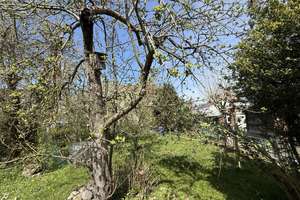 Ingolstadt: DHH in ruhiger Lage mit großem Garten – Markus-Koch-Straße 1, 85057 Nordwest, Ingolstadt – Vorschaubild 9