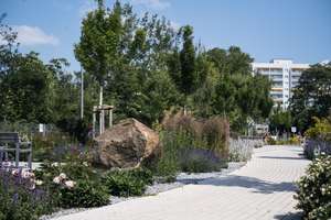 Property thumbnail 17