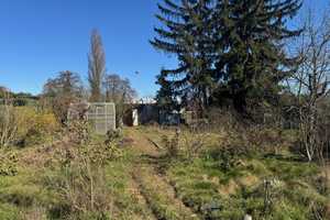 Freistehendes Einfamilienhaus sucht Revitalisierung – Offenbach (Kreis) – Vorschaubild 21