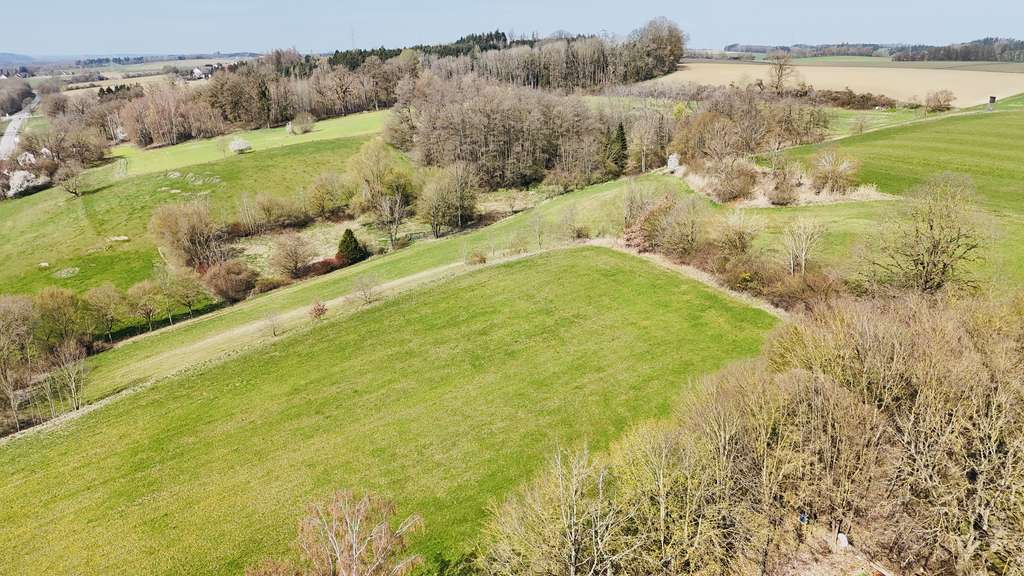 Immobilie in Haag an der Amper - Gepflegte Doppelhaushälfte mit Einliegerwohnung auf großzügigem Grundstück - Bild 4
