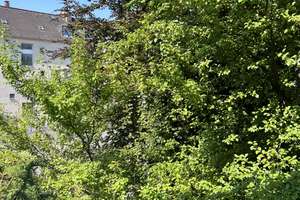 Helle 2-Zimmer Wohnung mit Balkon u. Blick ins Grüne – Steinmetzstr. 24, 45139 Südostviertel, Essen – Vorschaubild 2