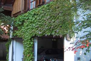 Property thumbnail 18