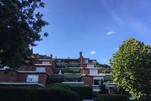 1,5 Zi.-Whg, direkt am Stadtpark, in exklusiver Anlage mit großem Balkon, renoviert – Die vollständige Adresse der Immobilie erhältst du vom Anbieter., 21077 Eißendorf, Hamburg – Vorschaubild 11