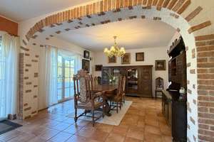 ☀️🍇  La Dolce Vita am Weinberg ! – 55232 Alzey – Vorschaubild 6