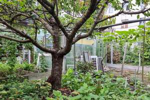 Property thumbnail 13