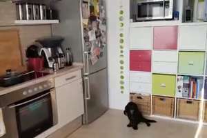 2-Zimmer Wohnung Stadtmitte Dieburg