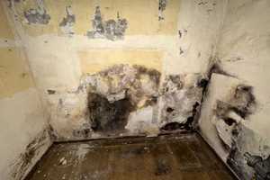 Historisches Einfamilienhaus mit großem Grundstück und viel Gestaltungspotenzial – Nordfriesland (Kreis) – Vorschaubild 33