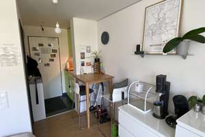 Studenten und Azubis aufgepasst - helles Appartement mit Pantryküche und Balkon – Blumenstraße 14, 93055 Ostenviertel, Regensburg – Vorschaubild 6
