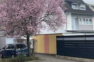 Charmantes Reihenendhaus in Bonn-Dransdorf – Ihr neues Zuhause mit großem Garten und Garage – Bonn – Vorschaubild 2