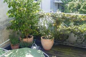 Vollvermietetes Gründerzeithaus in beliebter Lage von Bonn-Poppelsdorf – Jagdweg 13, 53115 Poppelsdorf, Bonn – Vorschaubild 12