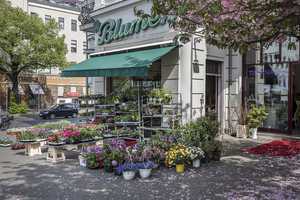 Property thumbnail 23