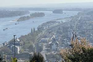 RESERVIERT! Familienfreundliches Domizil in bester Lage mit Rheinblick und separatem Appartement – Die vollständige Adresse der Immobilie erhältst du vom Anbieter., 55411 Bingen am Rhein – Vorschaubild 10