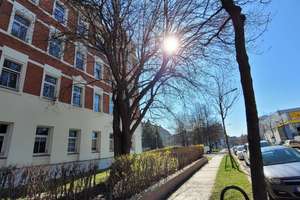 Schloßchemnitz * Lichtdurchflutetes Apartment * Frei – Inselstraße 14, 9113 Schloßchemnitz, Chemnitz – Vorschaubild 10