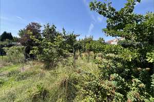 Preissenkung! Einfamilienhaus mit Garten und viel Potenzial in Roßlau – Dessau-Roßlau – Vorschaubild 14