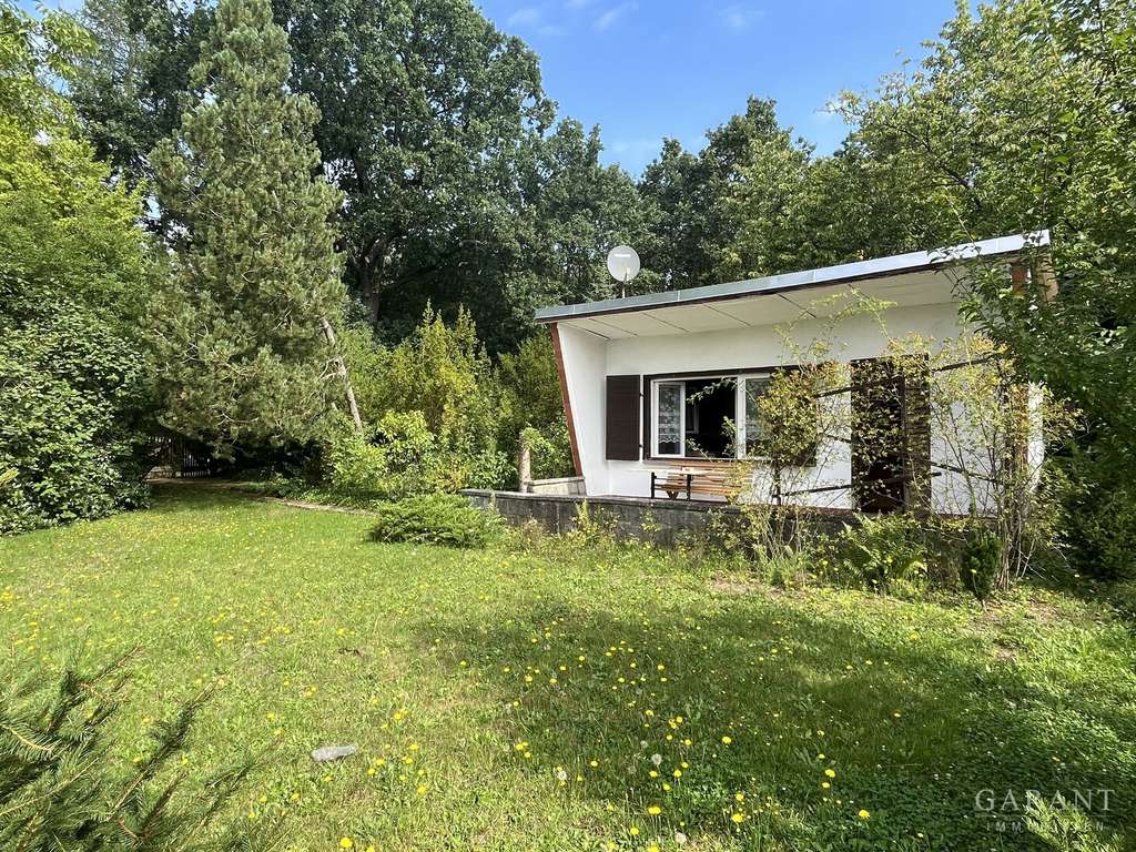 Immobilie in Colditz - Idyllisches Waldgrundstück mit Bungalow und Finnhütte nahe Grimma - Bild 0