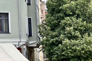 Kiel-Ravensberg, komplett sanierte, wunderschöne 3-Zimmer-Altbauwohnung mit Loggia  im EG – Ahlmannstraße 24, 24118 Ravensberg, Kiel – Vorschaubild 14
