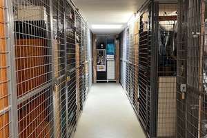 Charmante 2-Zimmer-Wohnung mit großem Balkon in gepflegter Wohnanlage in Leipzig-Leutzsch – Die vollständige Adresse der Immobilie erhältst du vom Anbieter., 4177 Leutzsch, Leipzig – Vorschaubild 8