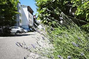 Licht. Ruhe. Natur. Exklusive 5-Zimmer-Wohnung in bester Vauban-Lage – 79100 Vauban, Freiburg im Breisgau – Vorschaubild 28