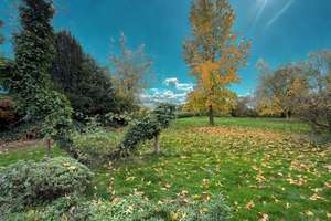 Property thumbnail 43