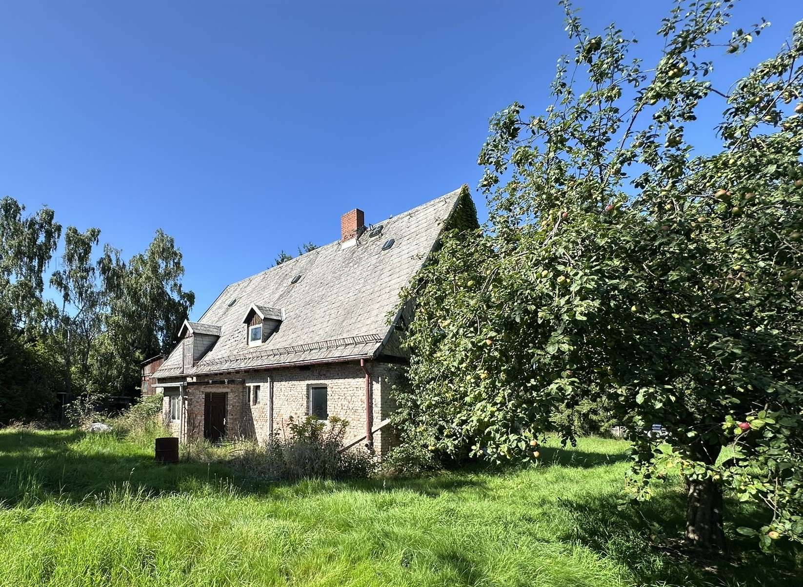 Landsitz am Rand von Chemnitz - Hohe Denkmal-Abschreibung - auch für Eigennutzer, Chemnitz – Bild 4