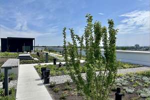 Property thumbnail 15