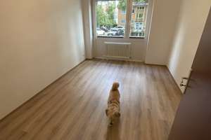 Schön geschnittene, frisch komplett sanierte 3-Zimmer-Wohnung  mit Balkon in der Schinnrainstraße 3 – Schinnrainstraße 3, 76227 Durlach, Karlsruhe – Vorschaubild 10