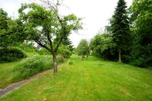 Sanierungsobjekt mit großem Grundstück und Berücksichtigung im Bebauungsplan “Pfarrgarten” – Die vollständige Adresse der Immobilie erhältst du vom Anbieter., 38319 Remlingen – Vorschaubild 21
