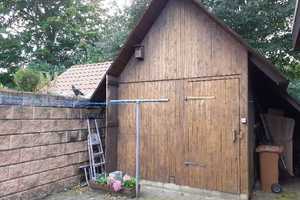 203 - Charmantes Einfamilienhaus mit Garage in Freren – Kiebitzweg 5, 49832 Emsland (Kreis) – Vorschaubild 8