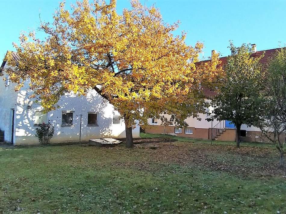 Garten m. Haus u. Schuppen